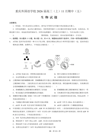 重庆实验外国语学校2025-2026学年度（上）高2026届11月月考（五）生物.pdf