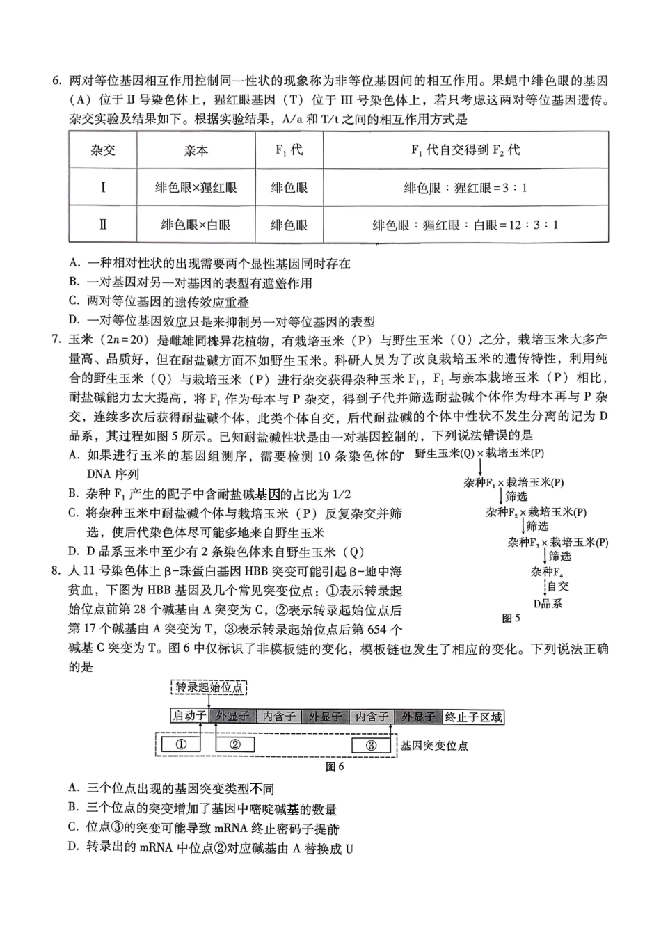 重庆市第八中学2026届高考适应性月考卷（三）生物.pdf_第3页