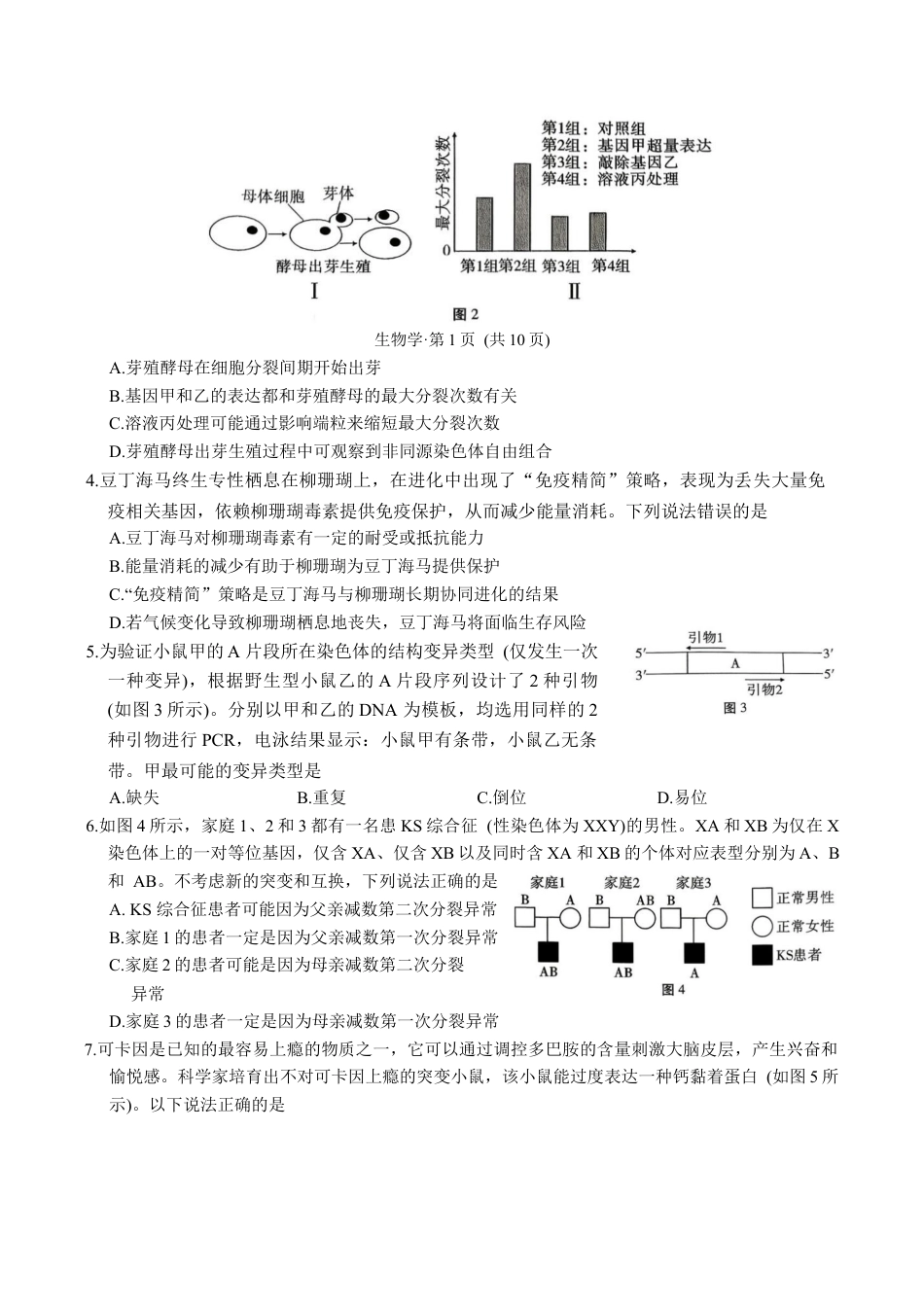 重庆市第八中学校2025-2026学年高三上学期12月月考生物试题（含答案）_生物学试卷.docx_第2页