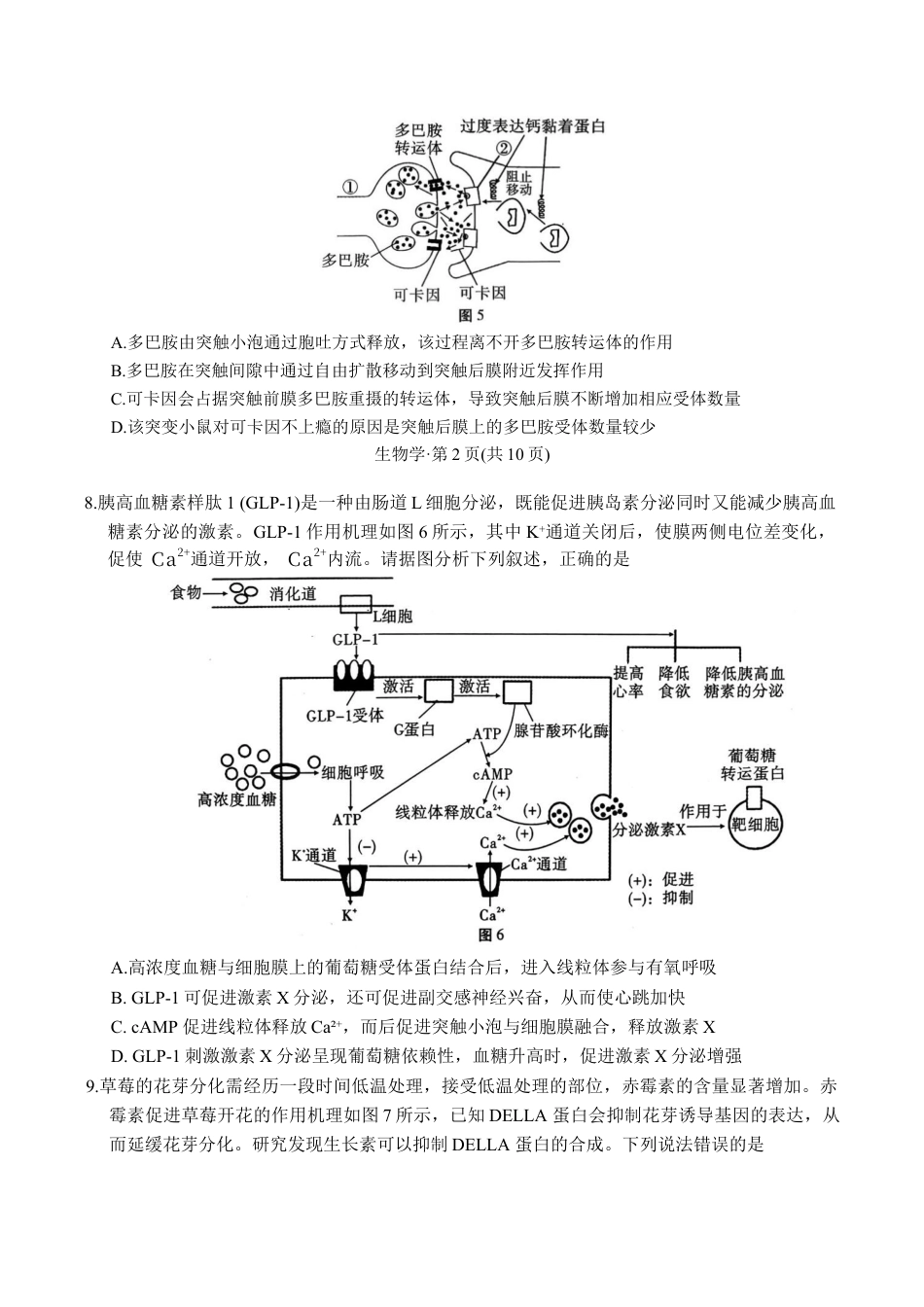 重庆市第八中学校2025-2026学年高三上学期12月月考生物试题（含答案）_生物学试卷.docx_第3页