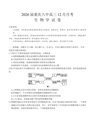 重庆市第八中学校2025-2026学年高三上学期12月月考生物试题（含答案）_生物学试卷.docx