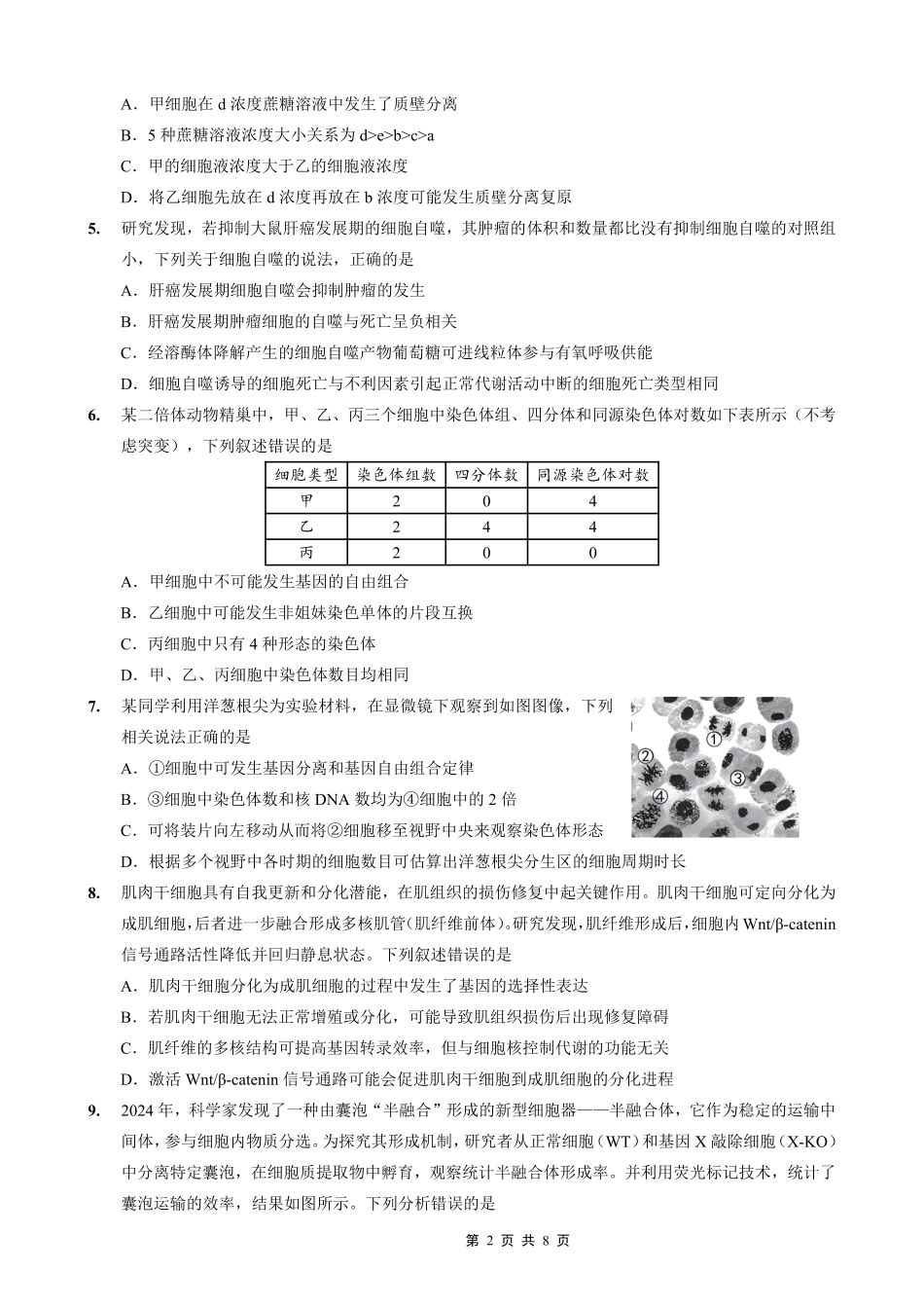 重庆市第一中学校2025-2026学年高三上学期10月月考（全科）_26一中10月生物试卷.pdf_第2页
