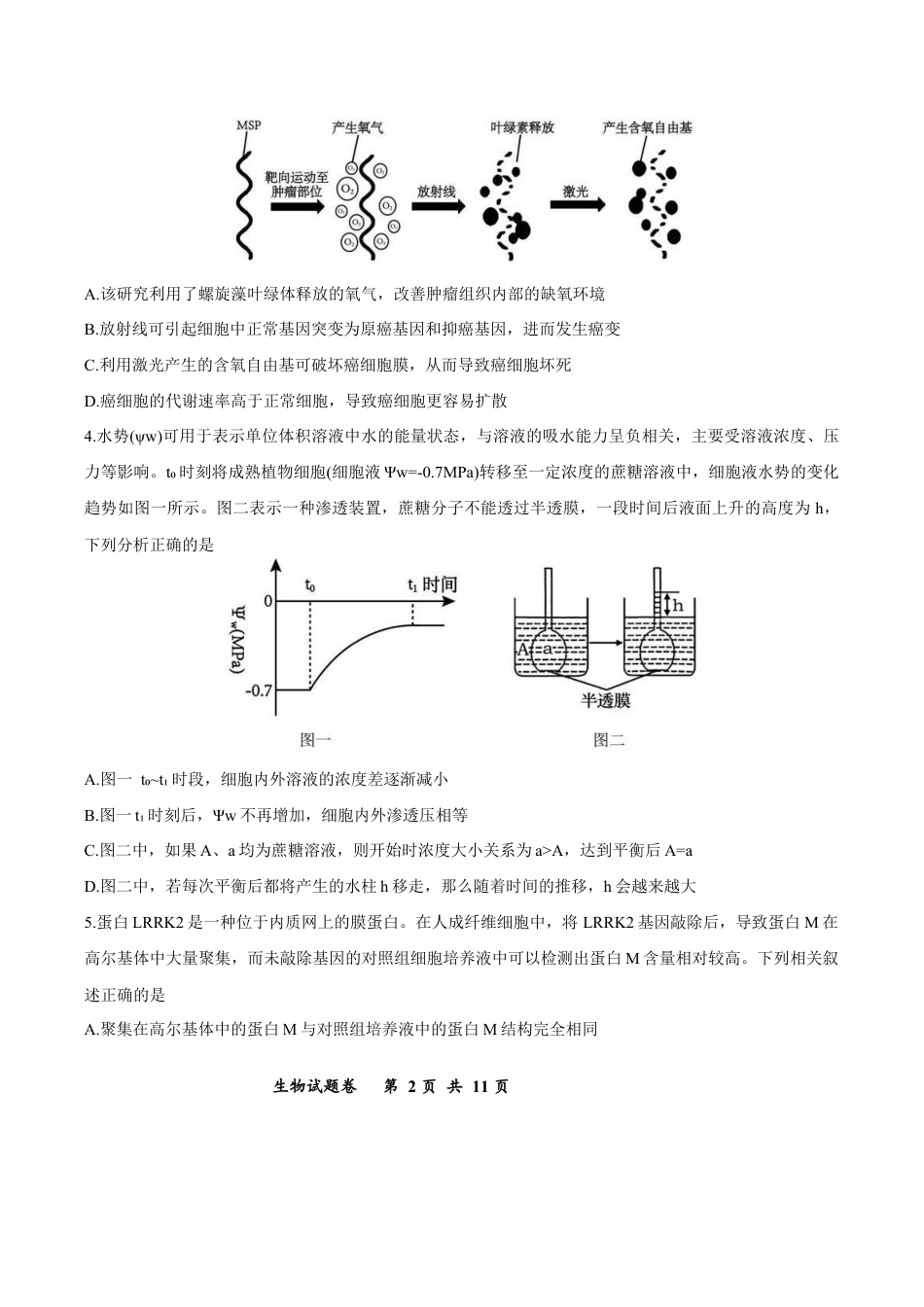 重庆市鲁能巴蜀中学2025-2026学年高三上学期12月月考生物试题.docx_第2页
