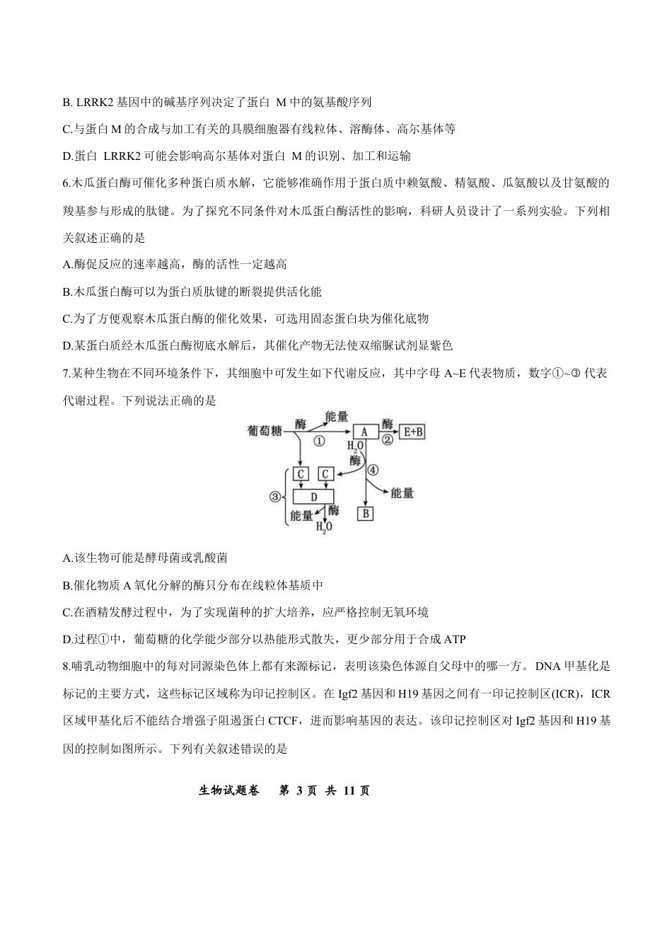 重庆市鲁能巴蜀中学2025-2026学年高三上学期12月月考生物试题.docx_第3页