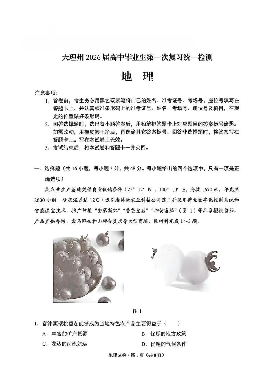大理州2026届高中毕业生第一次复习统一检测地理.pdf_第1页