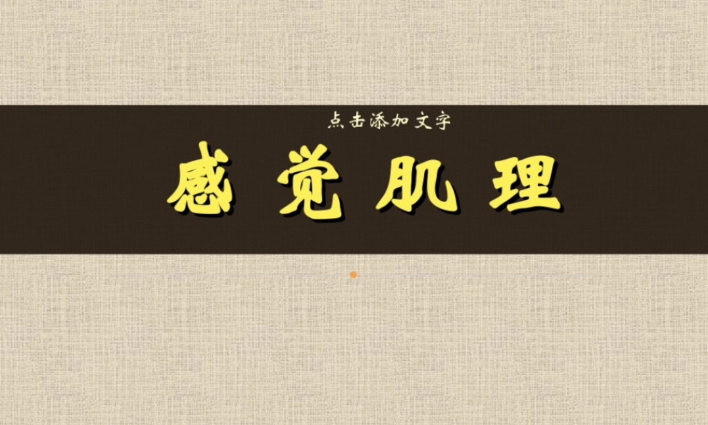 二年级上册美术课件－10.感觉肌理 ｜苏少版 (共16张PPT).ppt