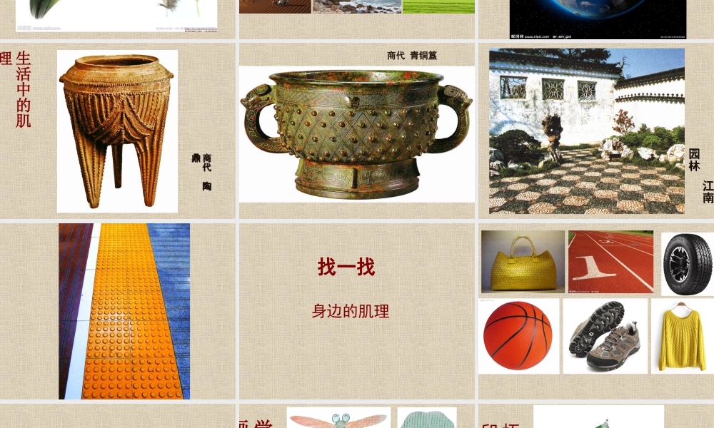 二年级上册美术课件－10.感觉肌理 ｜苏少版 (共16张PPT).ppt