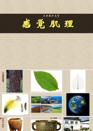 二年级上册美术课件－10.感觉肌理 ｜苏少版 (共16张PPT).ppt