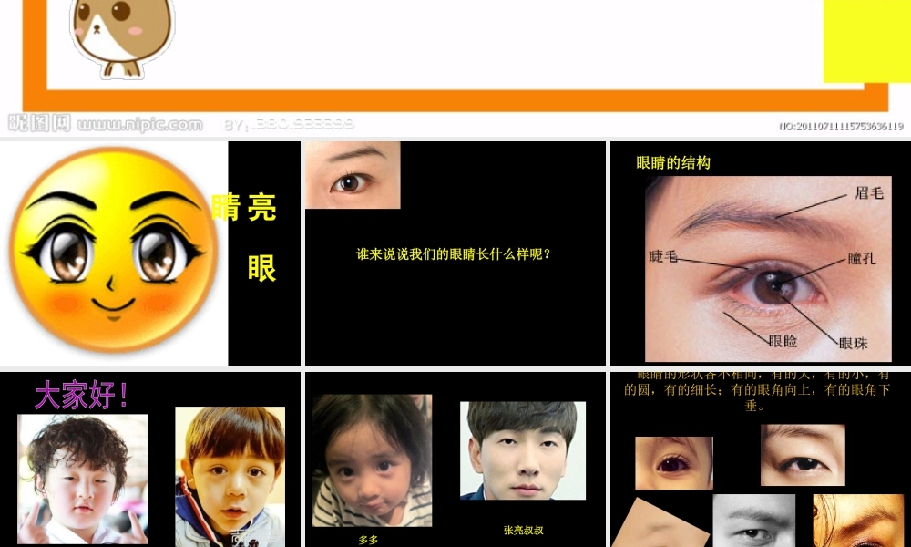 二年级上册美术课件－9.亮眼睛 ｜苏少版 (共33张PPT).ppt