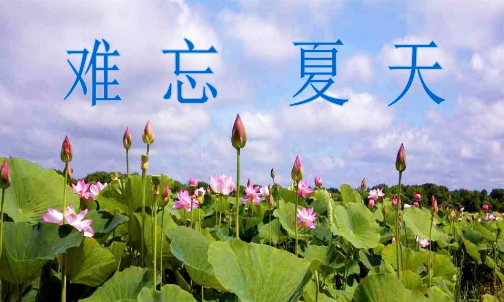 二年级上册美术课件－1.难忘的夏天 ｜苏少版 (共15张PPT).ppt