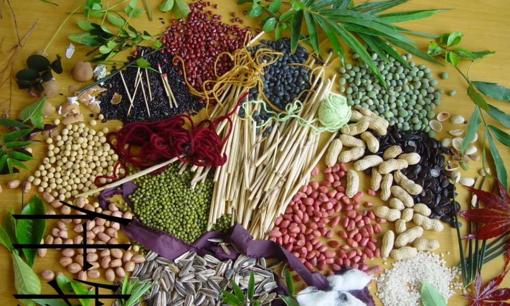 二年级上册美术课件－11.什物拼贴 ｜苏少版 (共11张PPT).ppt