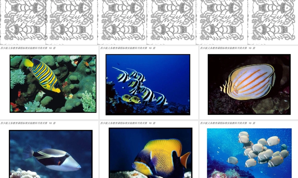 苏教小学美术四上《第9课鱼的纹样》PPT课件 (3).ppt