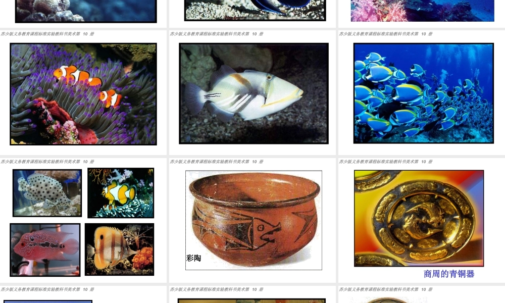 苏教小学美术四上《第9课鱼的纹样》PPT课件 (3).ppt