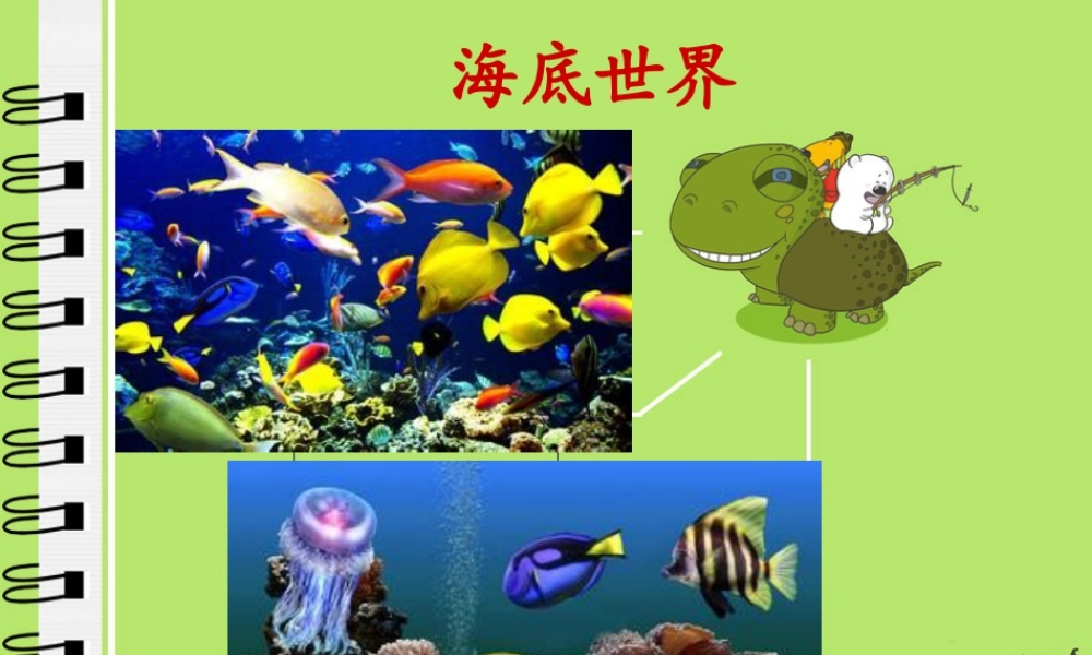 苏教小学美术四上《第6课海洋世界》PPT课件.ppt