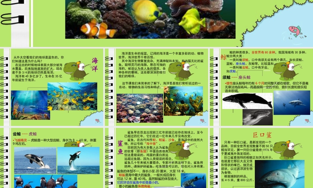 苏教小学美术四上《第6课海洋世界》PPT课件.ppt