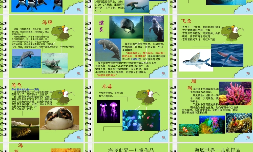 苏教小学美术四上《第6课海洋世界》PPT课件.ppt