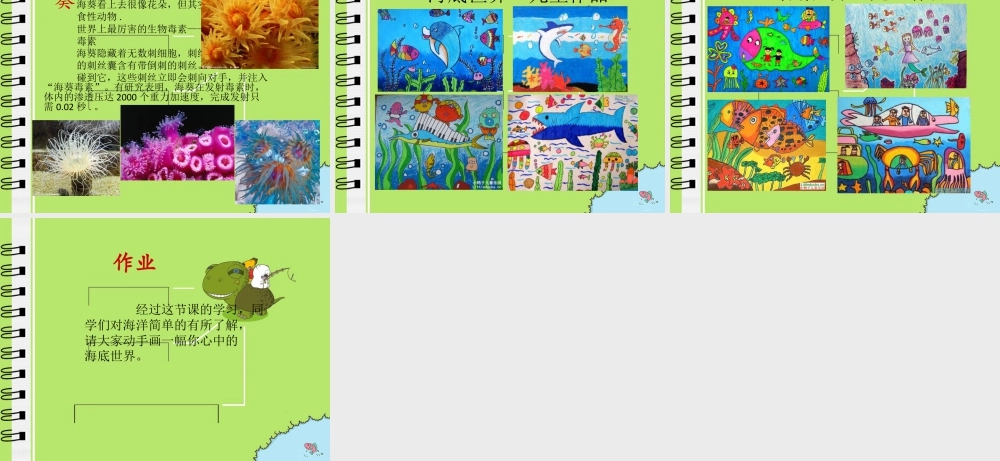 苏教小学美术四上《第6课海洋世界》PPT课件.ppt