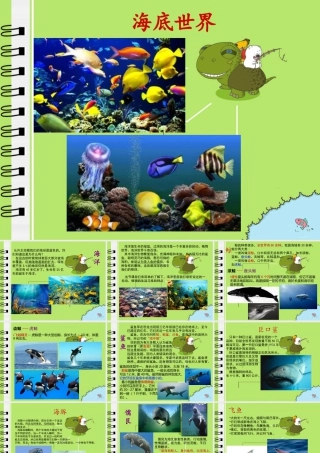 苏教小学美术四上《第6课海洋世界》PPT课件.ppt