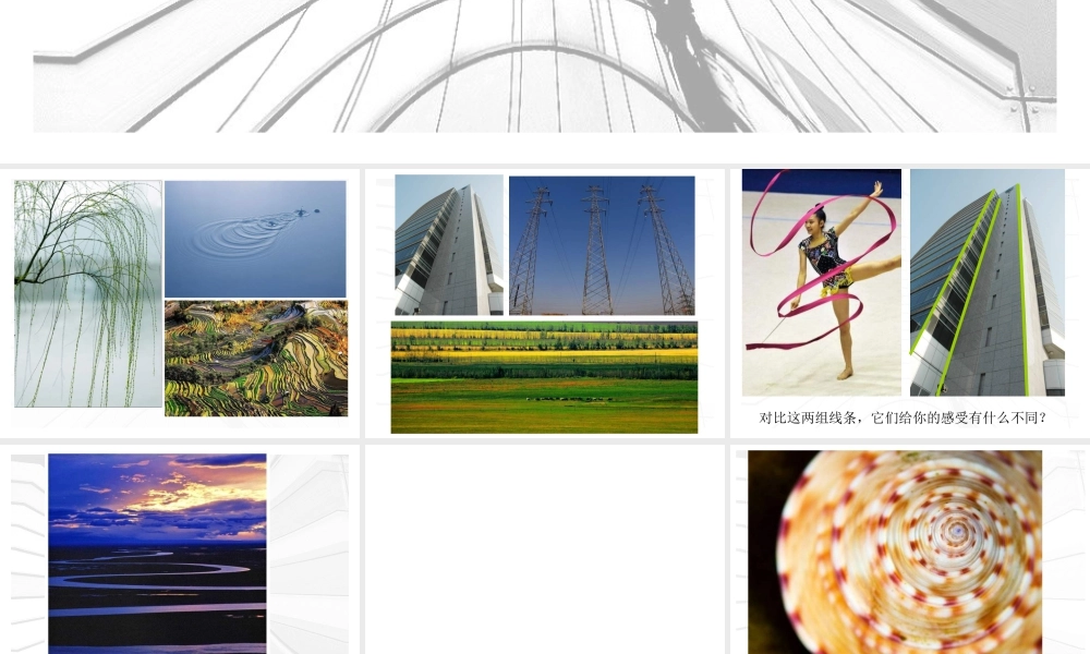 苏教小学美术五下《第3课线条的魅力》PPT课件 (1).ppt