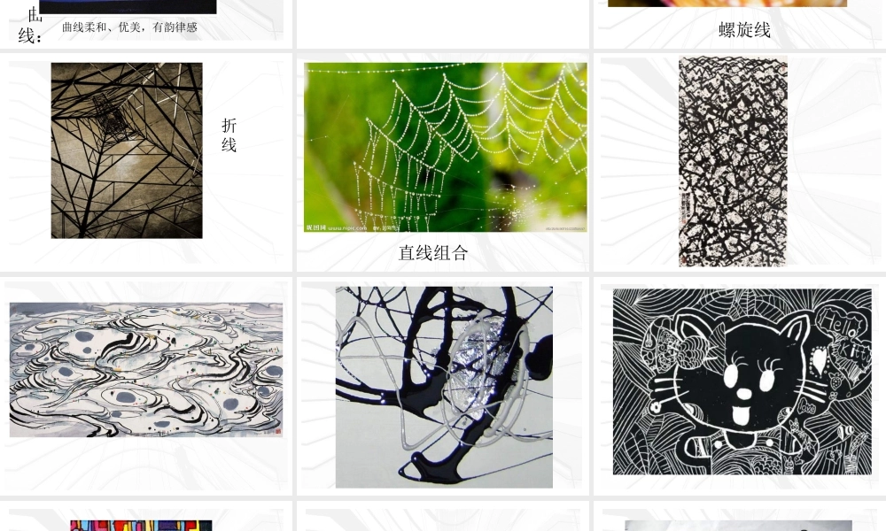 苏教小学美术五下《第3课线条的魅力》PPT课件 (1).ppt