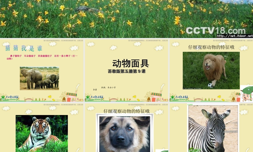 苏教小学美术三下《第16课动物面具》PPT课件 (2).ppt