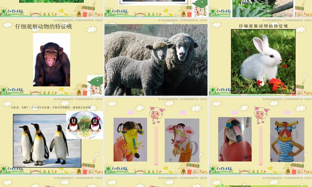 苏教小学美术三下《第16课动物面具》PPT课件 (2).ppt