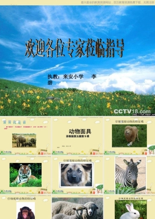 苏教小学美术三下《第16课动物面具》PPT课件 (2).ppt