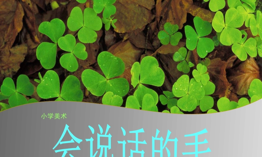 苏教小学美术四上《第16课会说话的手一》PPT课件 (1).ppt