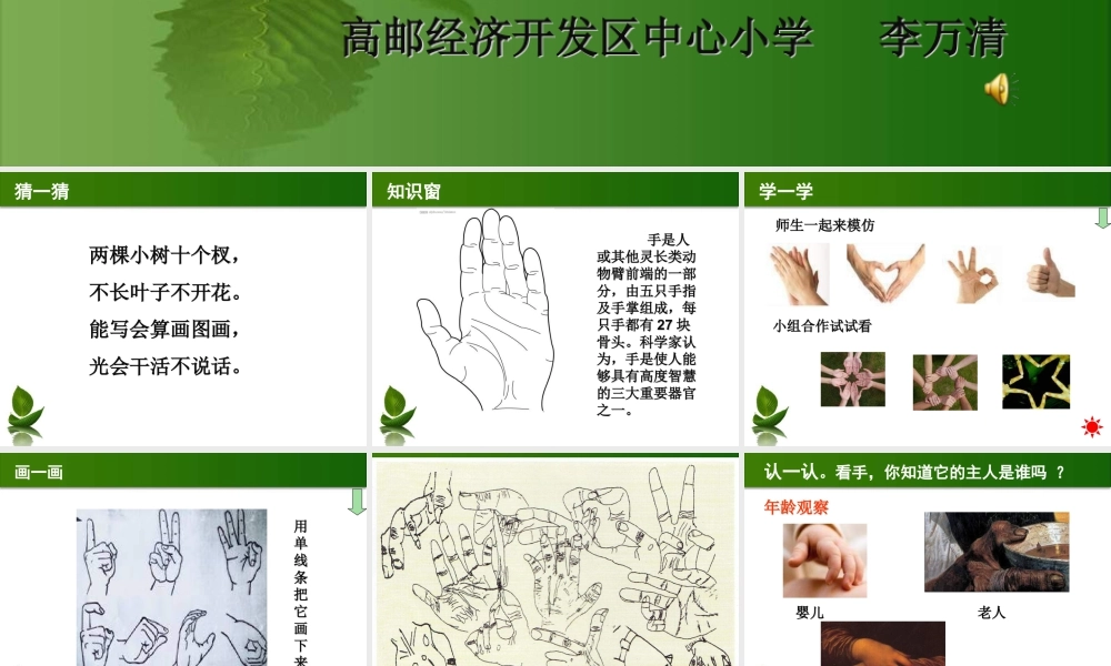 苏教小学美术四上《第17课会说话的手二》PPT课件 (2).ppt
