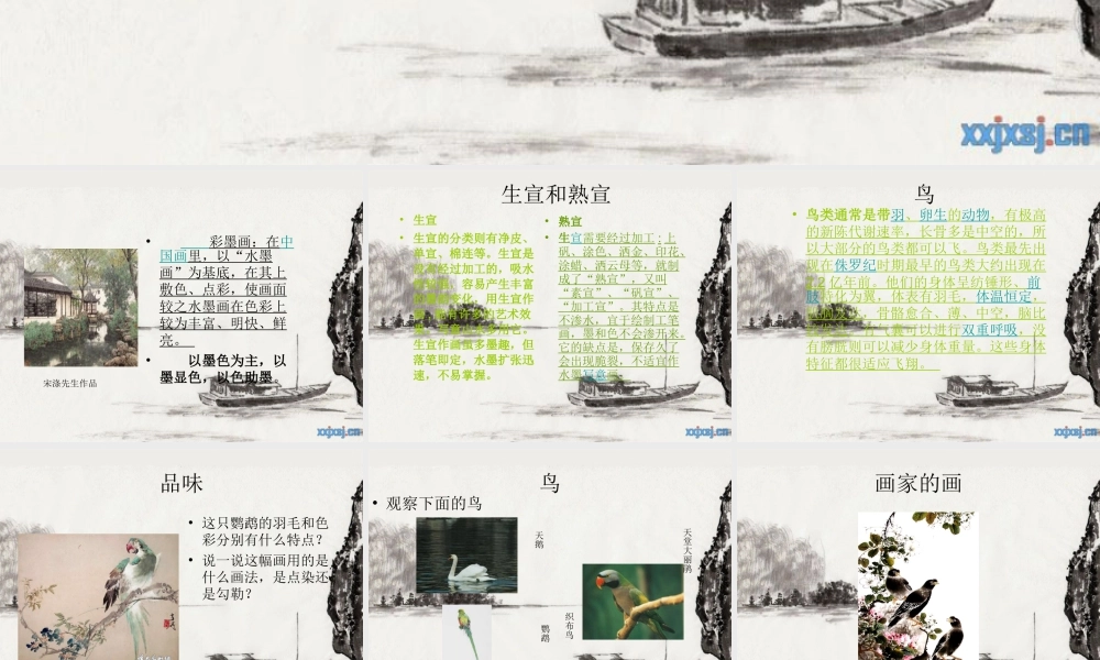 苏教小学美术四下《第9课水墨画鸟》PPT课件.ppt