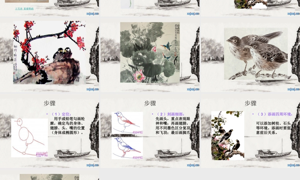 苏教小学美术四下《第9课水墨画鸟》PPT课件.ppt