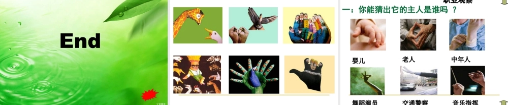 苏教小学美术四上《第17课会说话的手二》PPT课件 (1).ppt