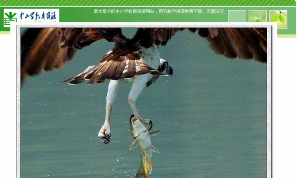 苏教小学美术六下《第3课能干的脚》PPT课件 (1).ppt