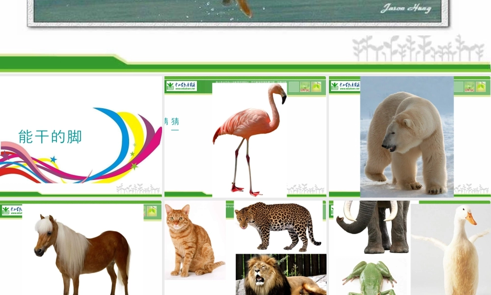 苏教小学美术六下《第3课能干的脚》PPT课件 (1).ppt