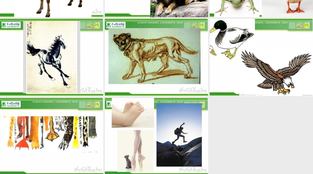 苏教小学美术六下《第3课能干的脚》PPT课件 (1).ppt