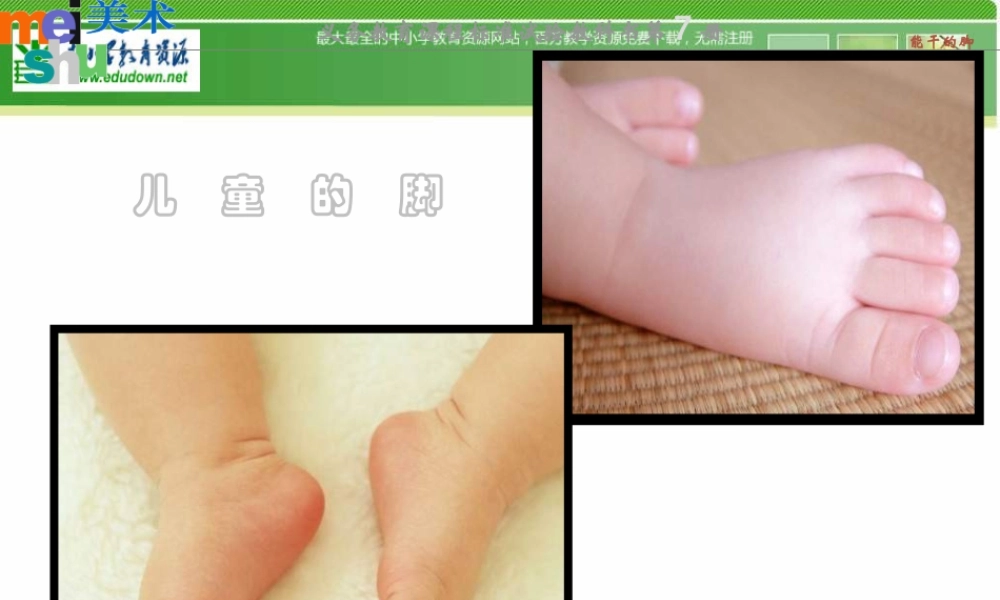 苏教小学美术六下《第3课能干的脚》PPT课件 (2).ppt