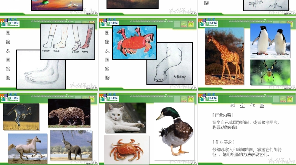 苏教小学美术六下《第3课能干的脚》PPT课件 (2).ppt