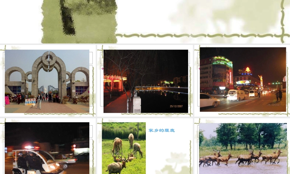 苏教小学美术五下《第4课理想的居住环境》PPT课件 (1).ppt