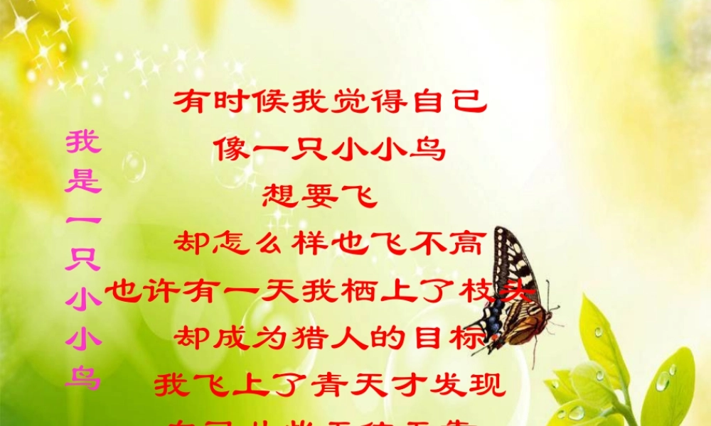 苏教小学美术四下《第7课我是一只小小鸟》PPT课件.ppt