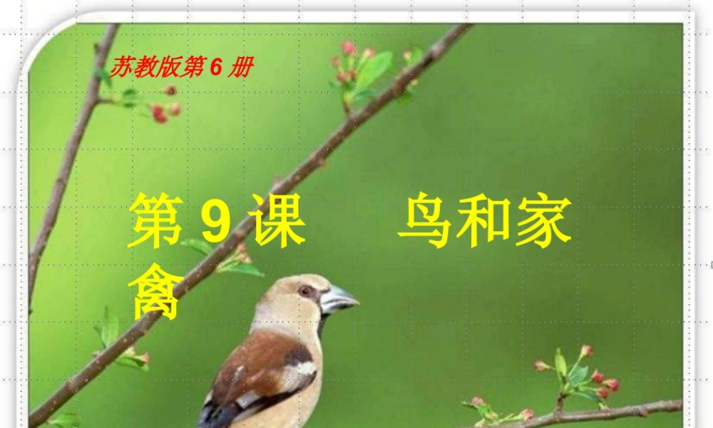 苏教小学美术四下《第6课鸟和家禽》PPT课件 (1).ppt
