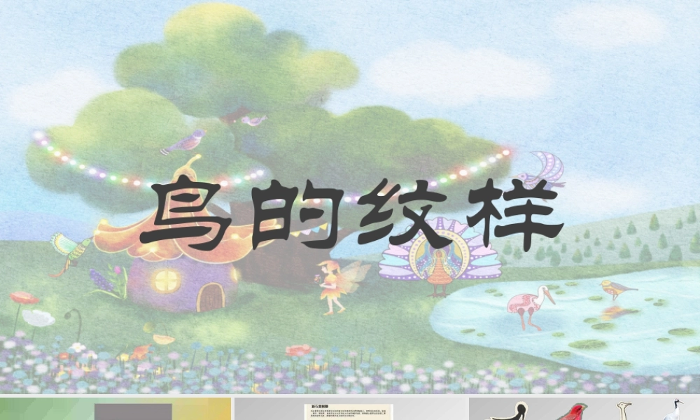 第8课 鸟的纹样（课件）-苏少版美术四年级下册.pptx