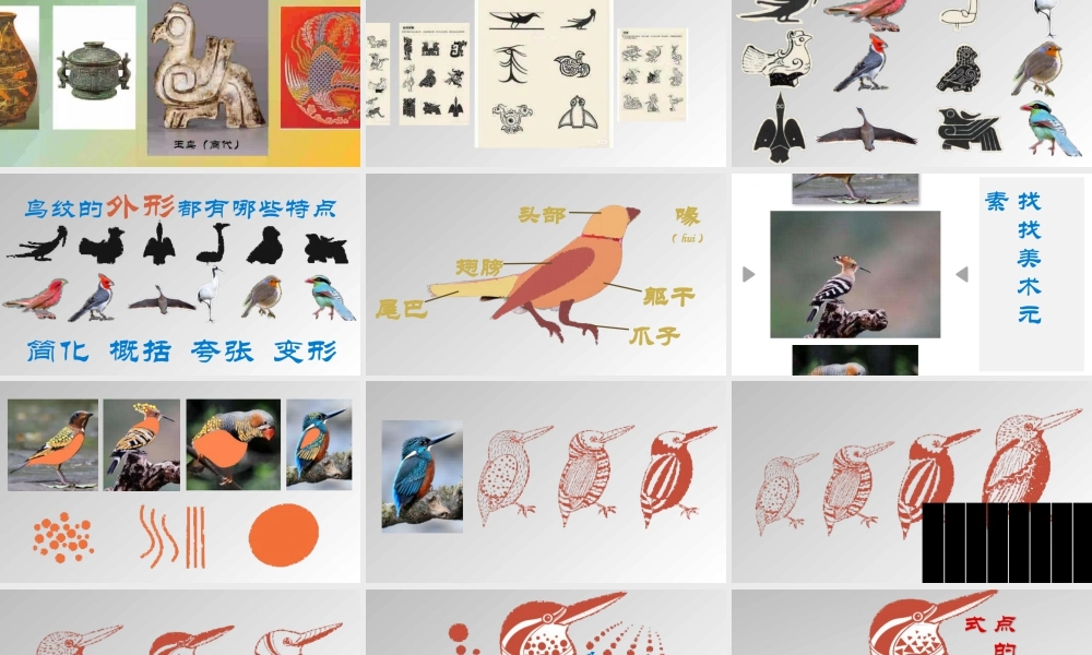 第8课 鸟的纹样（课件）-苏少版美术四年级下册.pptx