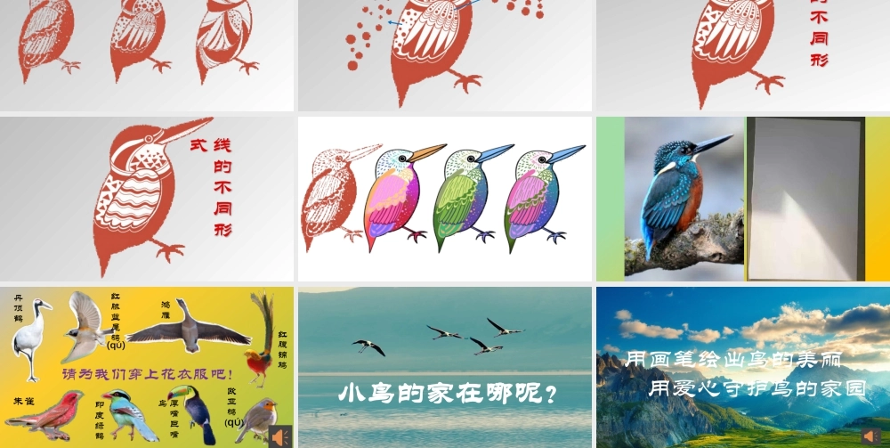 第8课 鸟的纹样（课件）-苏少版美术四年级下册.pptx