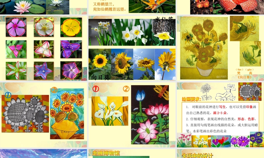 第6课 花儿朵朵 （课件）-美术二年级下册.pptx