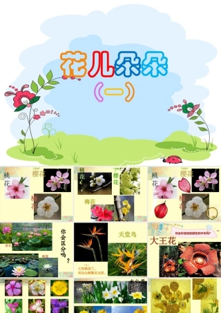 第6课 花儿朵朵 （课件）-美术二年级下册.pptx