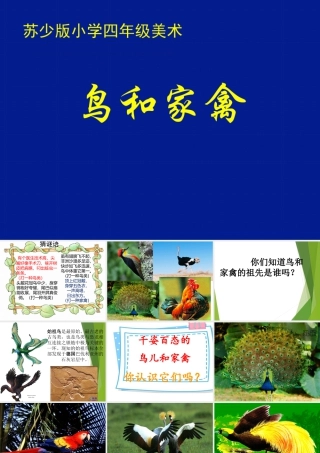 第6课 鸟和家禽（课件） 苏少版美术四年级下册.pptx