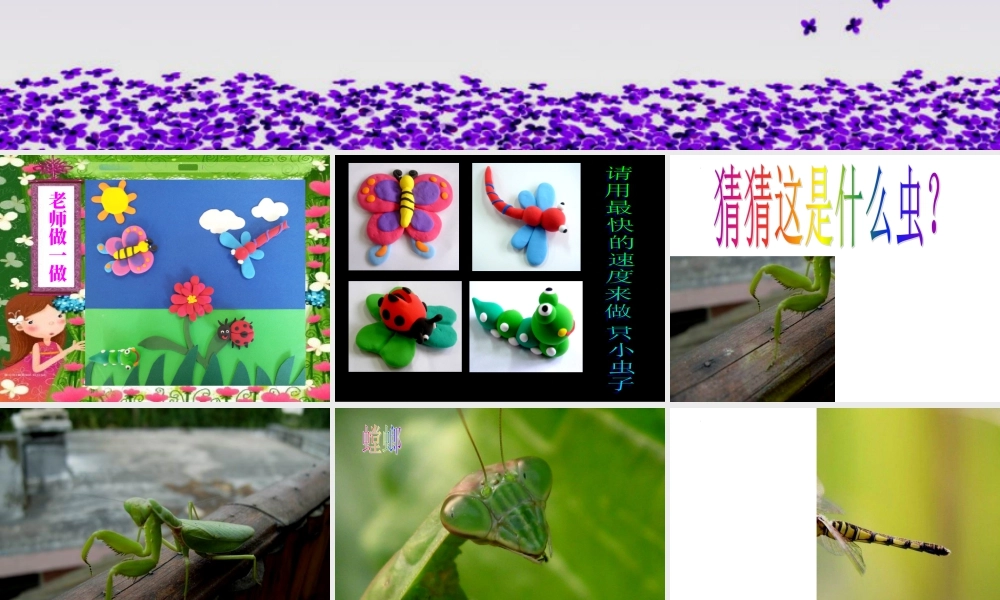 虫虫虫（二）（课件）-美术二年级下册 .pptx