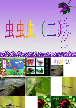 虫虫虫（二）（课件）-美术二年级下册 .pptx