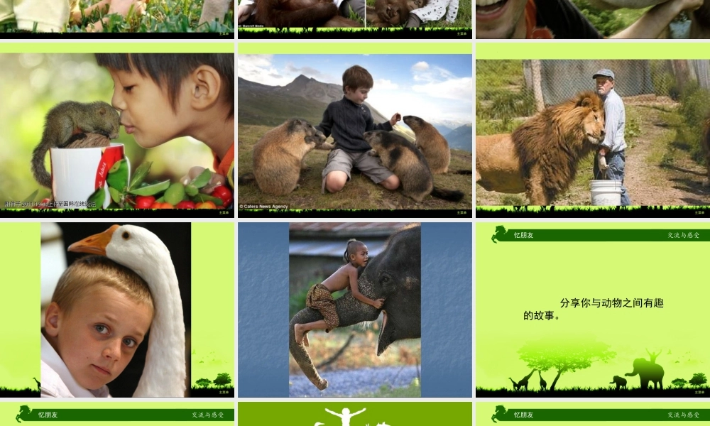 第4课 动物朋友（一）（课件）苏少版美术二年级下册 .pptx