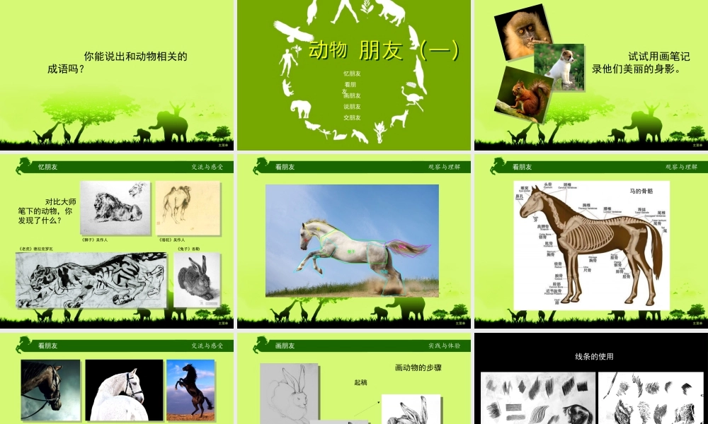 第4课 动物朋友（一）（课件）苏少版美术二年级下册 .pptx